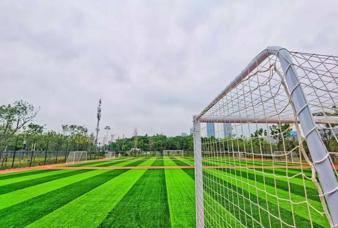 以人口為“定位器”布局體育公園，彰顯民生含金量