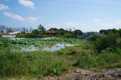 莆田綬溪公園景觀設(shè)計