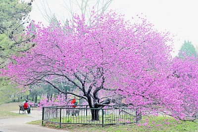 人居要聞|國家植物園，不只是看起來很美